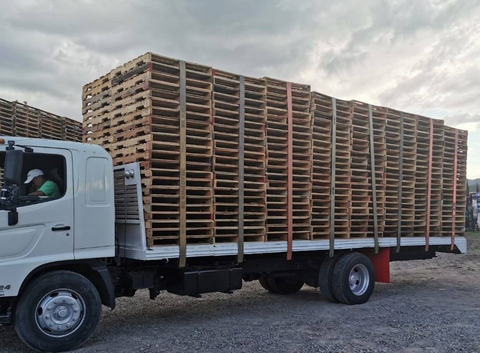 Fabricación de Tarimas de Madera Certificadas para Exportación